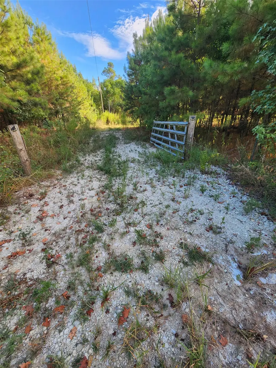 3997 E Fsr, Kennard, TX 75847 - #3