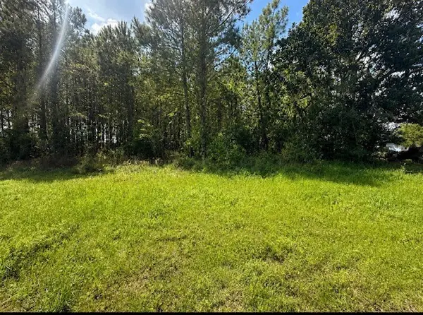 5254 Fm2798, Livingston, TX 77351