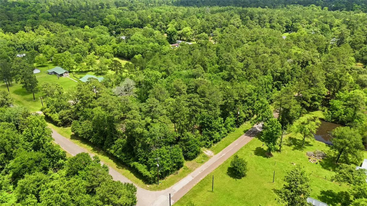 26603 Weir Way, Magnolia, TX 77355 - #1