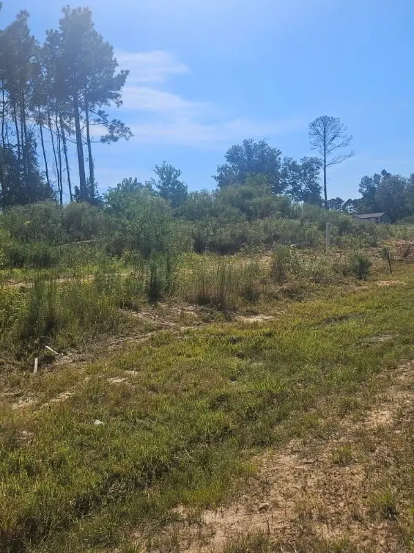 2049 Road 5913, Cleveland, TX 77327 - #3