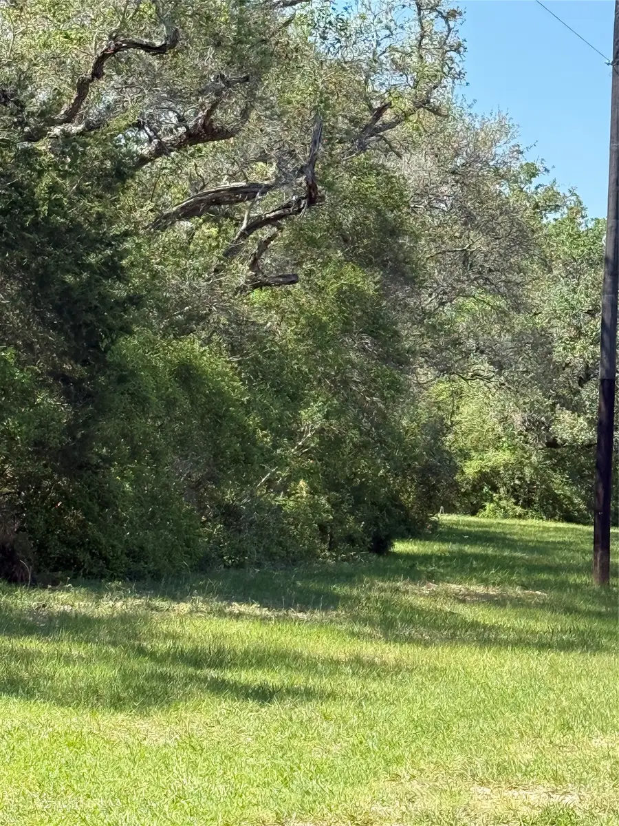 1222 Cr 2152, Rock Island, TX 77470 - #2