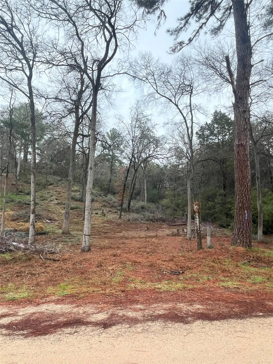 122 Helemano Drive, Bastrop, TX 78957 - #1