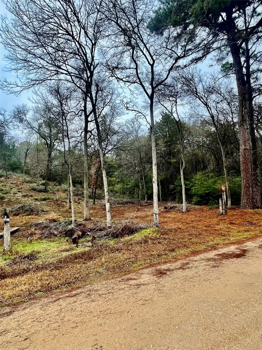 122 Helemano Drive, Bastrop, TX 78957 - #2