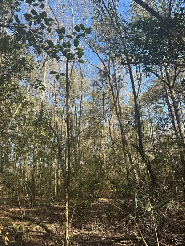 2986 Hargraves Road, Huffman, TX 77336