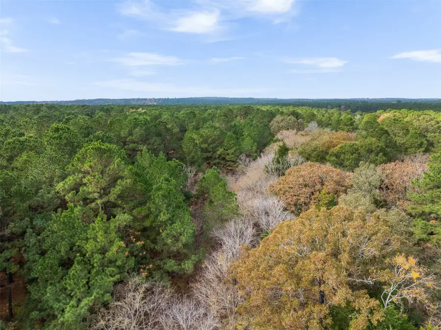 TBD Fm 322, Elkhart, TX 75839 - Image #2