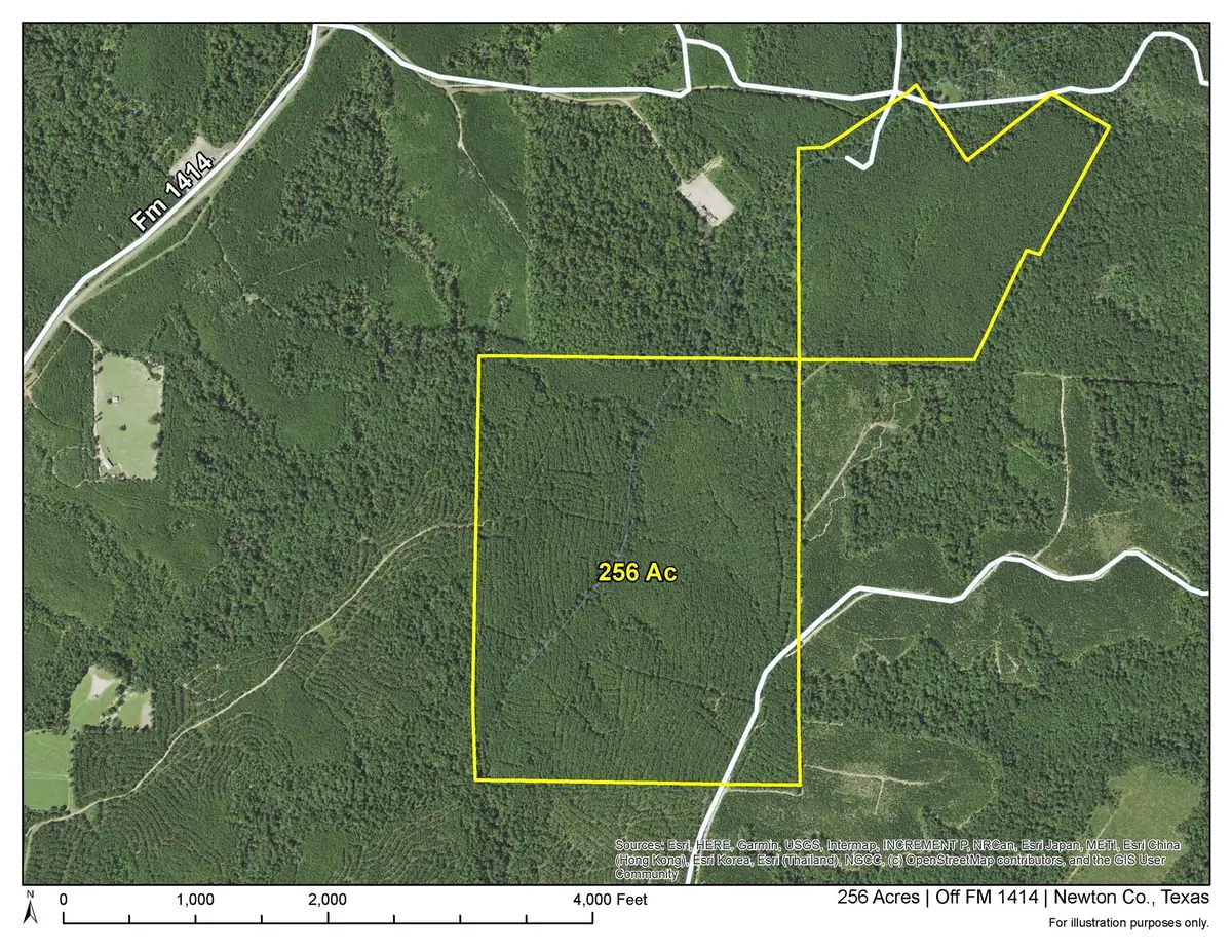 2 Off Fm 1414, Burkeville, TX 75966 - #1