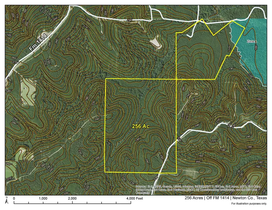 2 Off Fm 1414, Burkeville, TX 75966 - #2