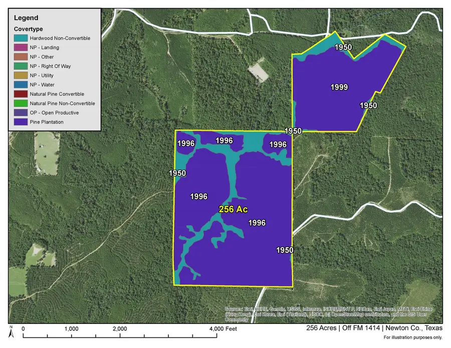 2 Off Fm 1414, Burkeville, TX 75966 - #3