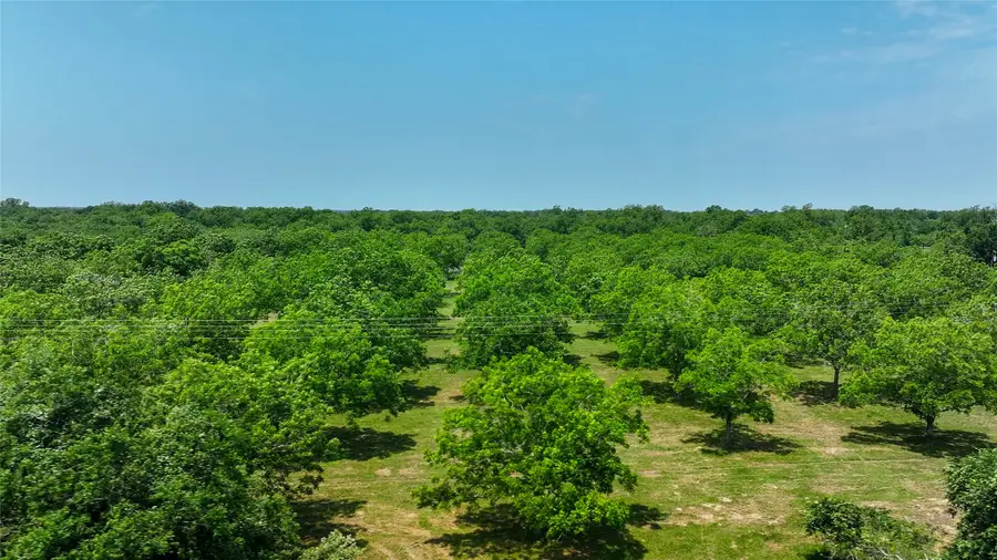 4898 Fm 2616, Hallettsville, TX 77964 - #2