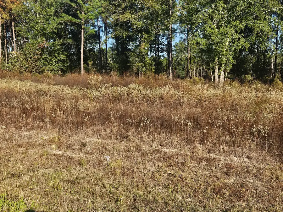 8026 Road 5891, Cleveland, TX 77327 - Image #3