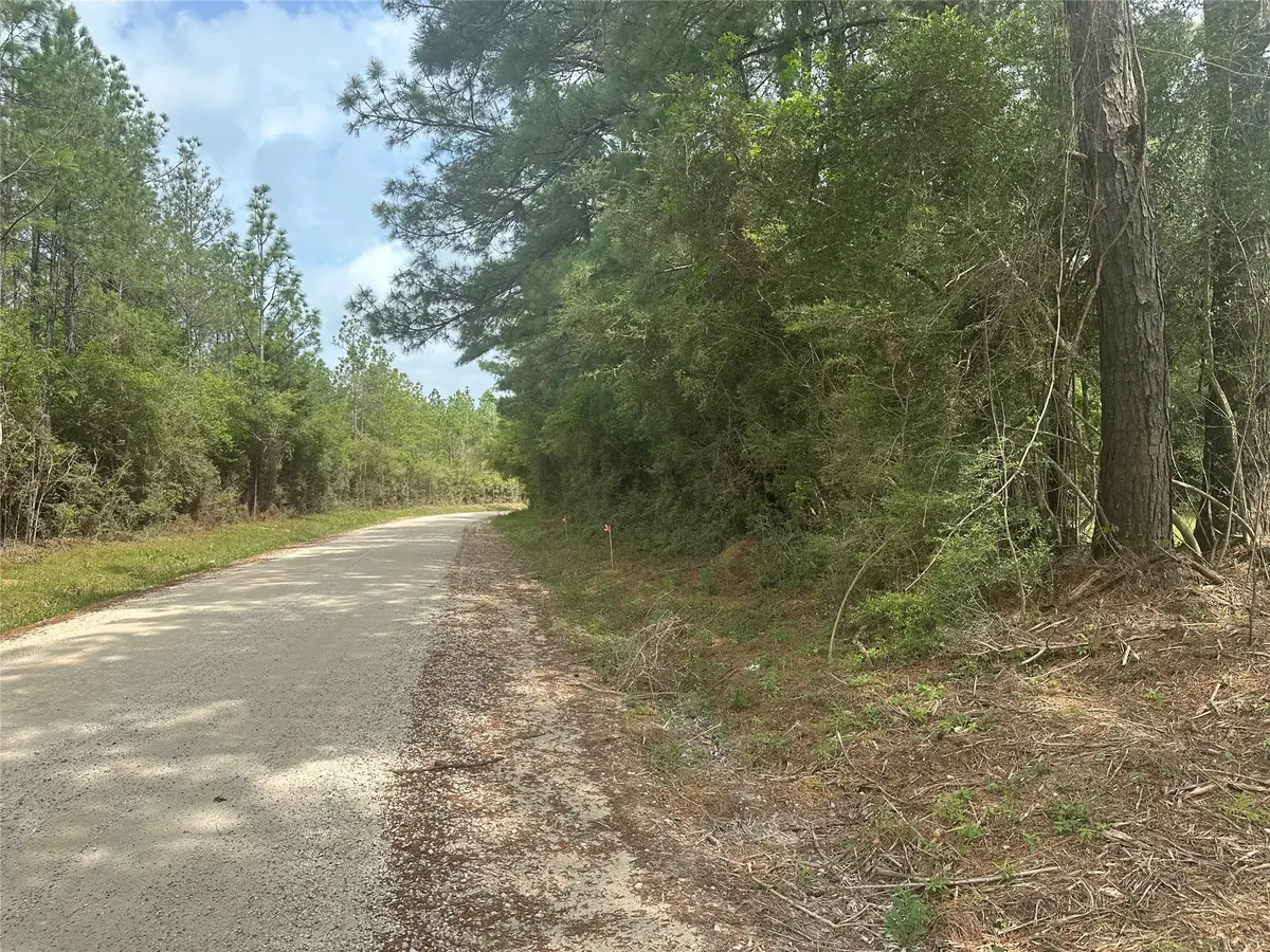 TBD Cr 3114, Buna, TX 77612 - #1