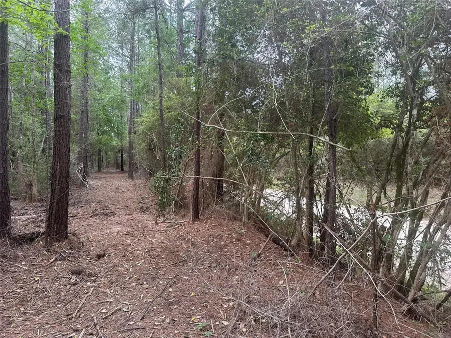 TBD Cr 3114, Buna, TX 77612 - #2