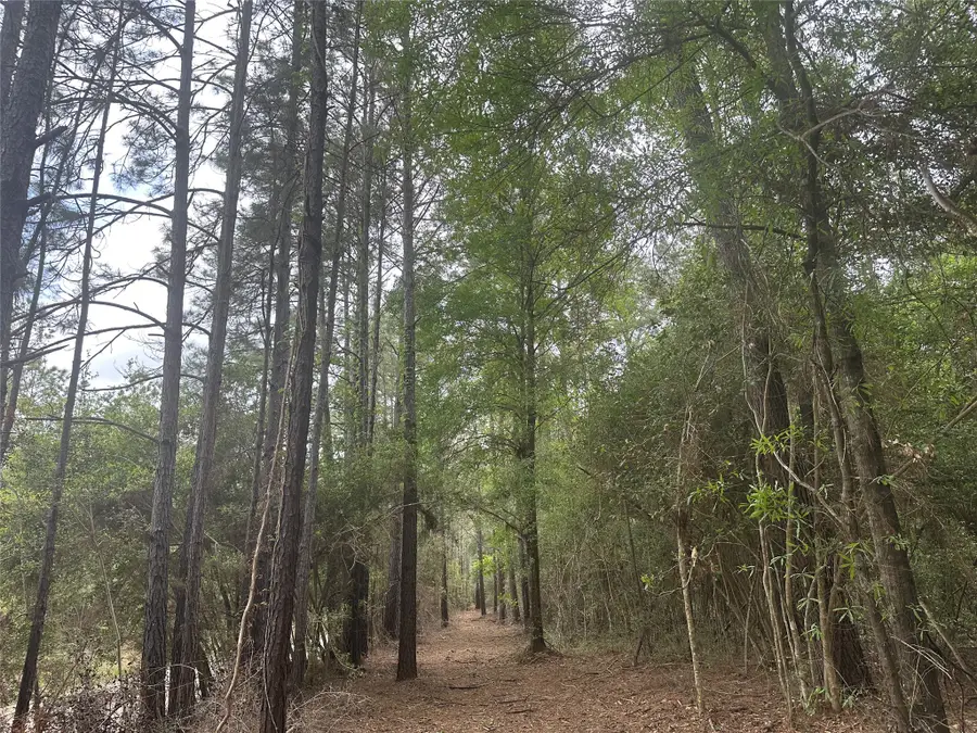 TBD Cr 3114, Buna, TX 77612 - #3