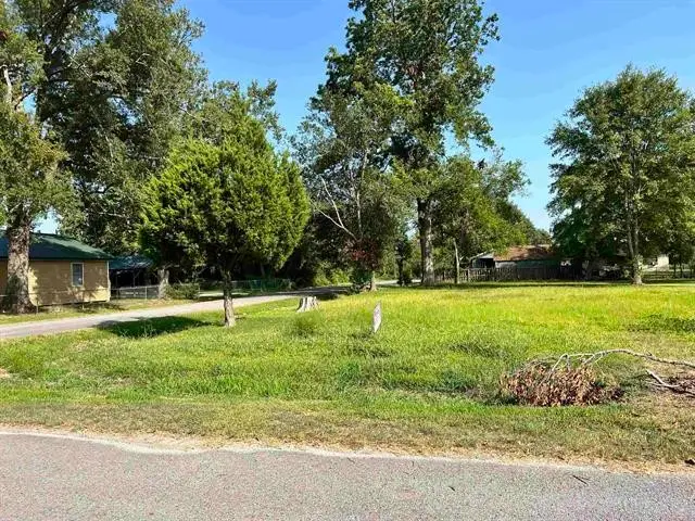 1601 Georgia Avenue, Orange, TX 77630 - #3