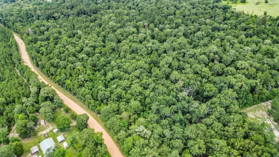 tbd Capps Road, Livingston, TX 77351 - #3