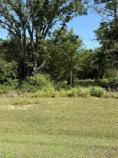 na Cr 377, Marquez, TX 77865 - #1