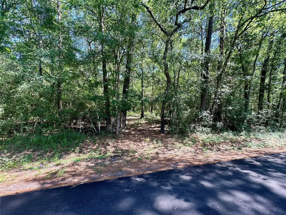 0 Taliaferro Road, Richards, TX 77873 - #1