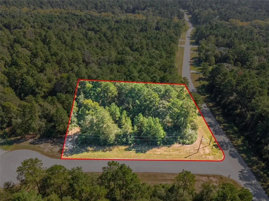 5-27-6 Feldspar Lane, Huntsville, TX 77340 - #3