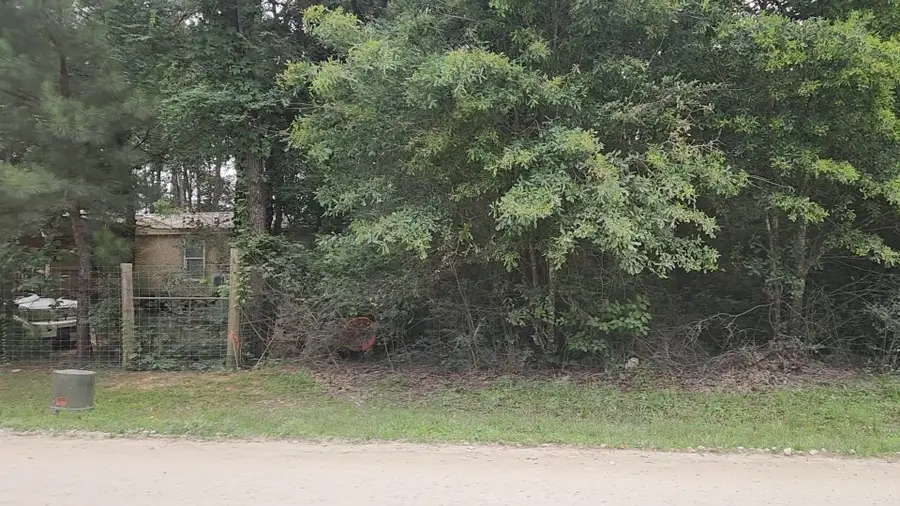 Lot 5 B55 Tawnyberry Lane, Plantersville, TX 77363 - #2