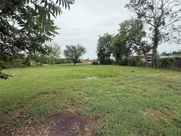 206 N 10th Street, Richmond, TX 77469