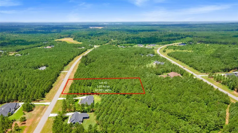 15492 Wood Grove Way, Willis, TX 77378 - #2
