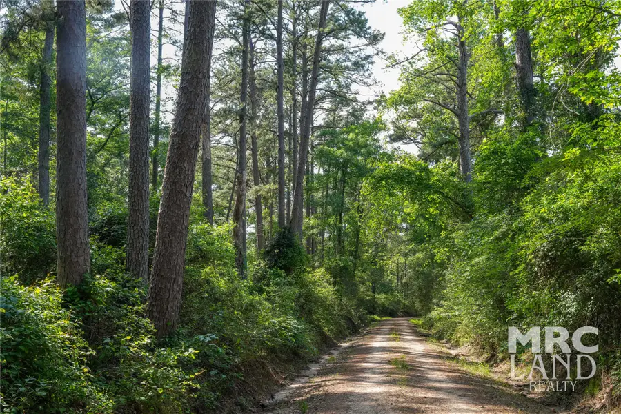 00 County Road 4690, Kennard, TX 75847 - #3