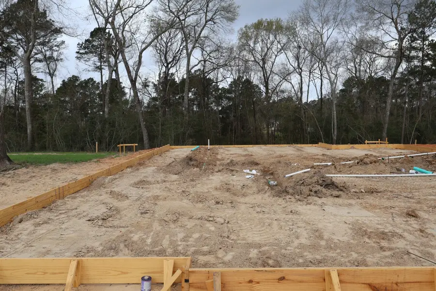 113 Roebuck Lane, New Waverly, TX 77358 - #2