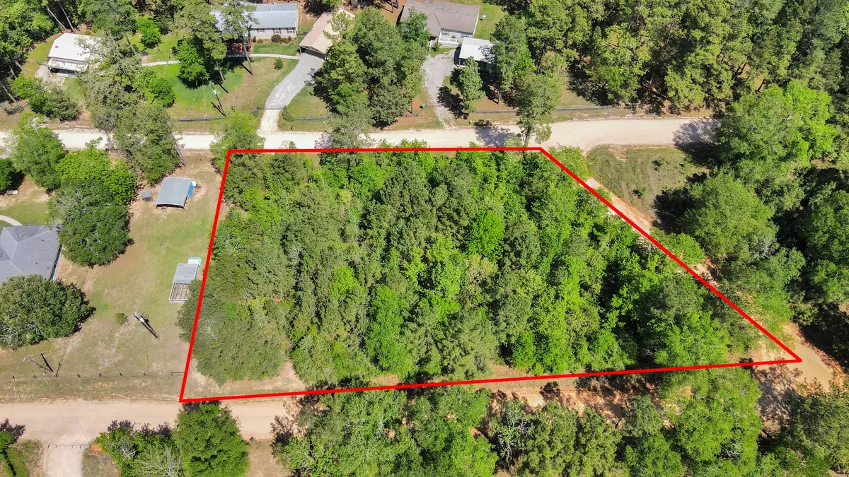 00 Raccoon Bend, New Waverly, TX 77358 - #1