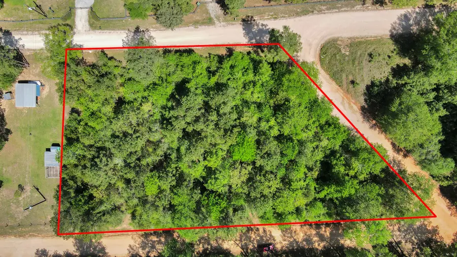 00 Raccoon Bend, New Waverly, TX 77358 - #2