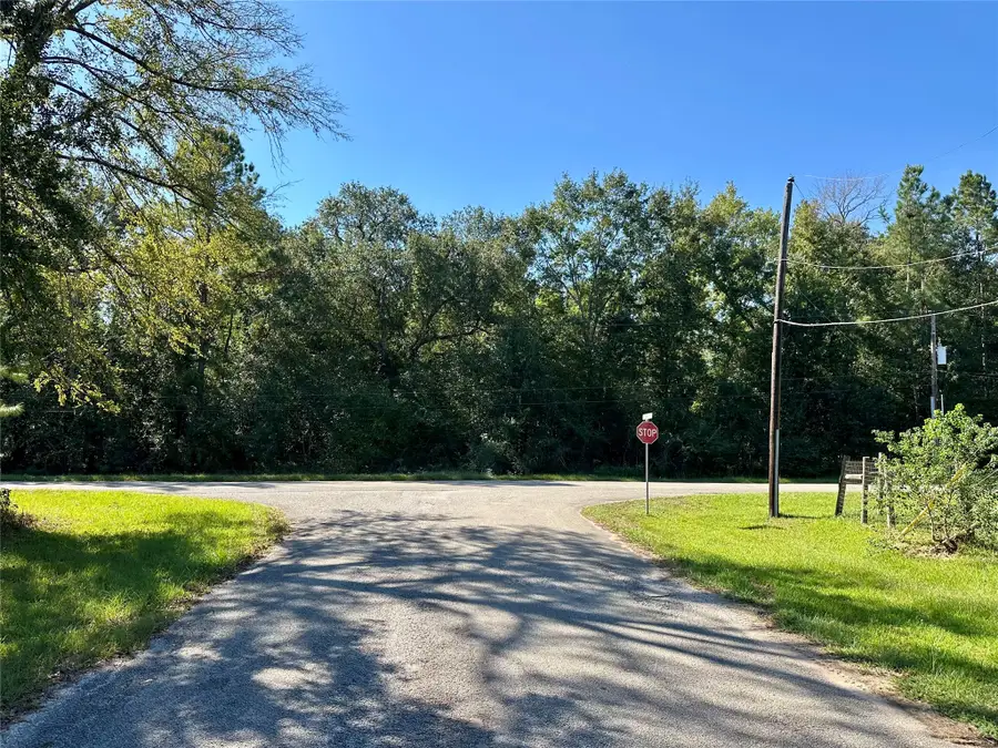 30003 Oakview, Magnolia, TX 77354 - #3