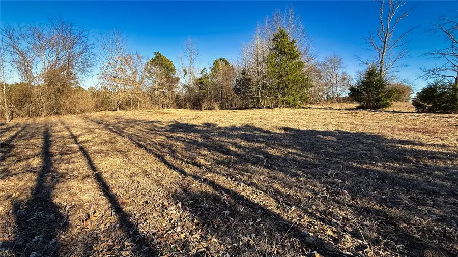 TBD #12 County Road 475a, Henderson, TX 75654 - #2