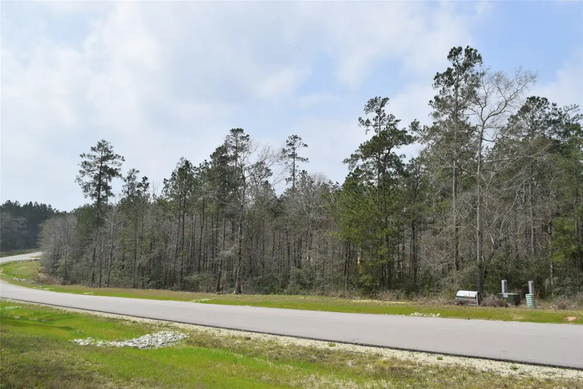 309 Exploration Road, Willis, TX 77378 - #1