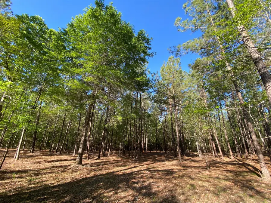 309 Exploration Road, Willis, TX 77378 - #3