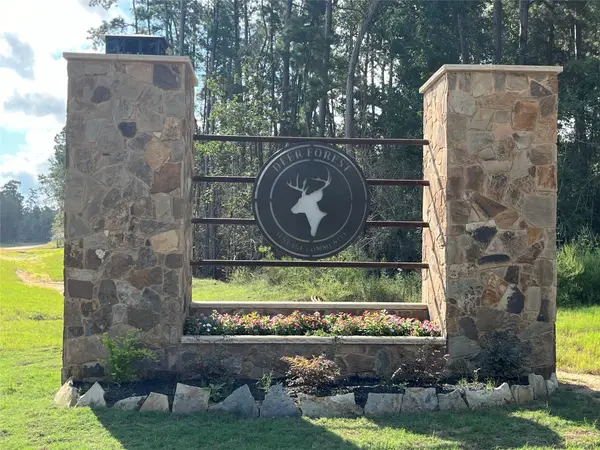 11723 Grand North Road, Willis, TX 77378