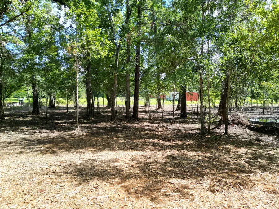000 Red Oak Drive, Plantersville, TX 77363 - #2