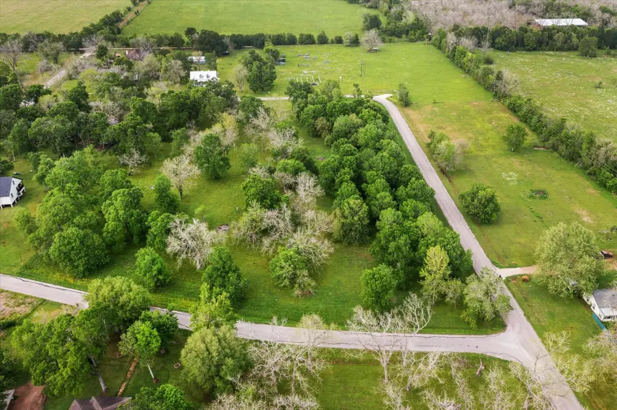 000 Wagon Road, Wallis, TX 77485 - #3