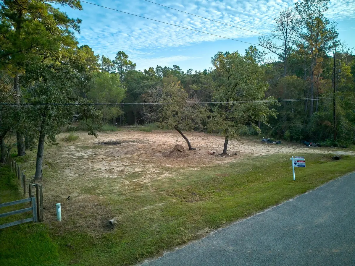 17910 Sea Turtle Court, Magnolia, TX 77355 - #1