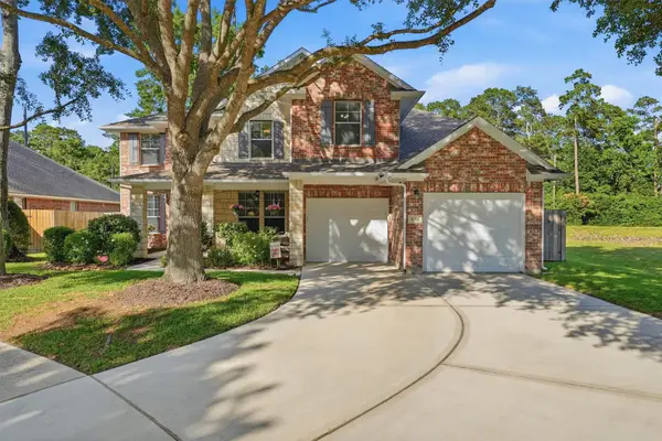 31302 Evergreen Park Lane, Conroe, TX 77385