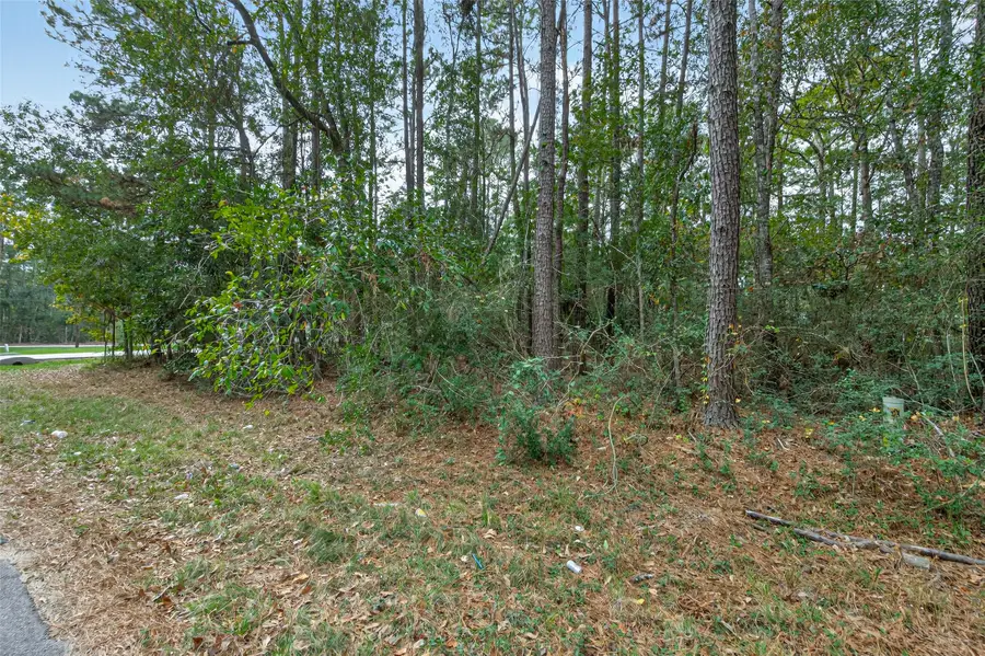 Lot 453 North Woods, Cleveland, TX 77328 - Image #3