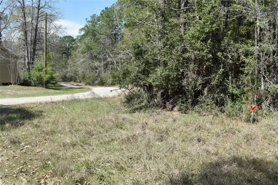 TBD Eagle Lane, Livingston, TX 77351 - #3