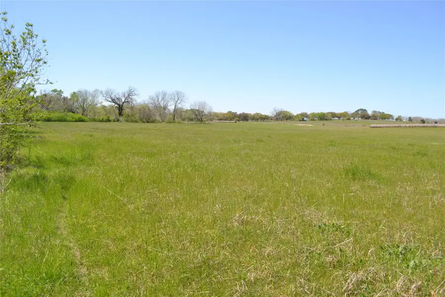 5568 Bleiblerville Road, Bleiblerville, TX 78931 - #3