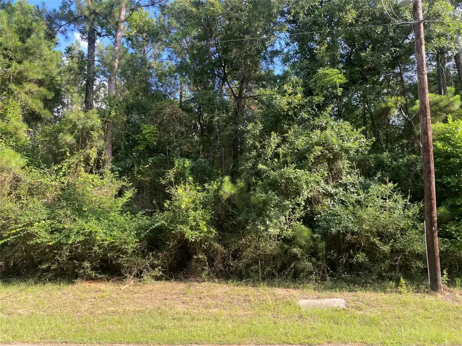 19410 Veterans Road, Magnolia, TX 77355 - #3