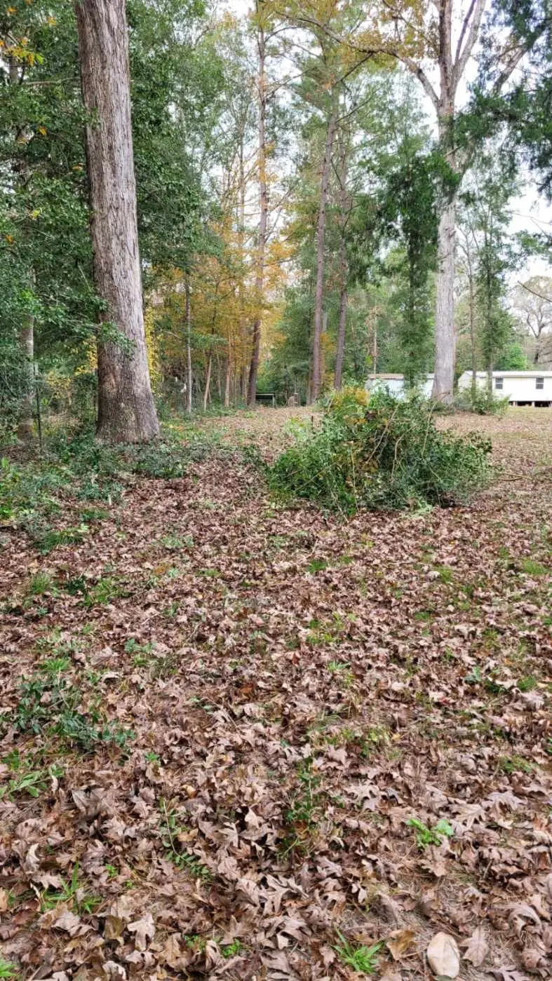 0 Beverly Drive, Shepherd, TX 77371 - #1