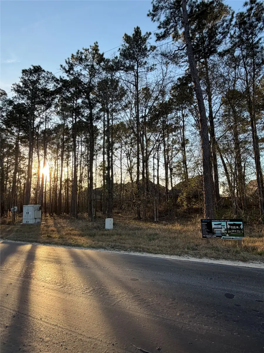 0 Hueni Road, Porter, TX 77365 - #3