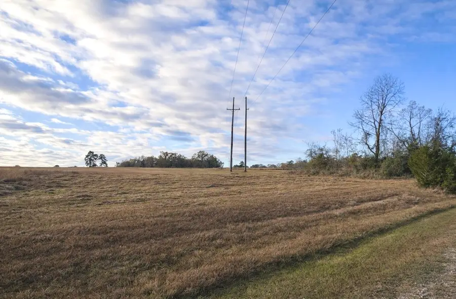 LOT 14 Charleston Street, Trinity, TX 75862 - Image #3