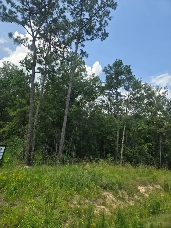 1331 Road 66113 Drive, Dayton, TX 77535