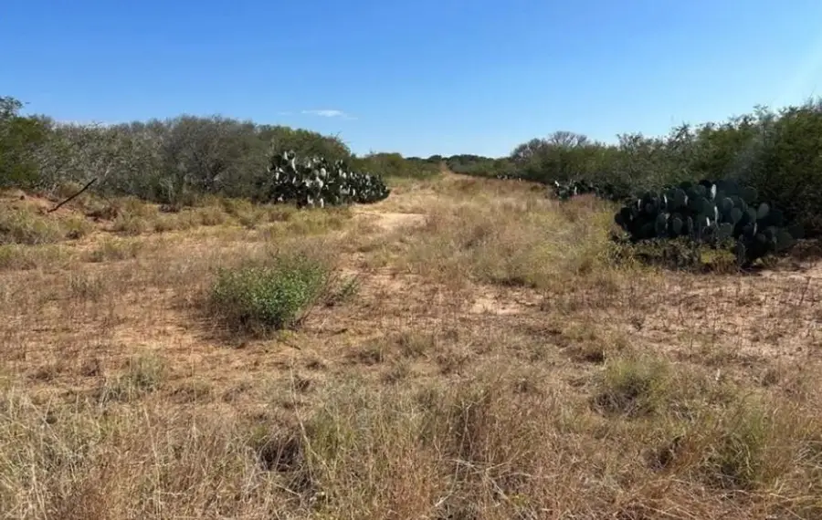 TBD 5150 Fm 2779 Street, Pearsall, TX 78061 - #3