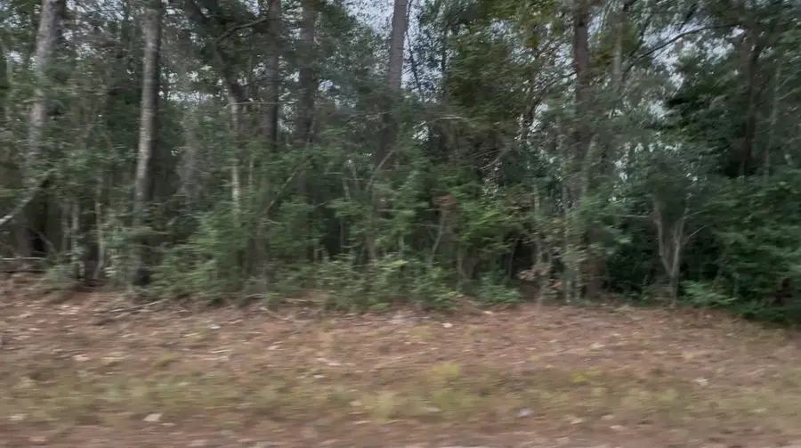 0 Pine Crest Street, Shepherd, TX 77371 - Image #3