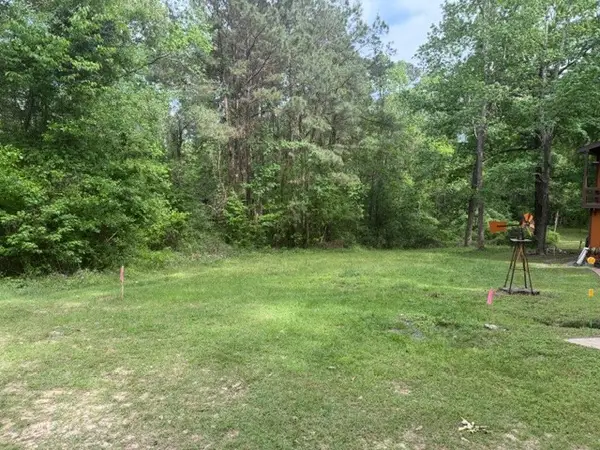 Lot 34 Gov Latham Circle, Point Blank, TX 77364