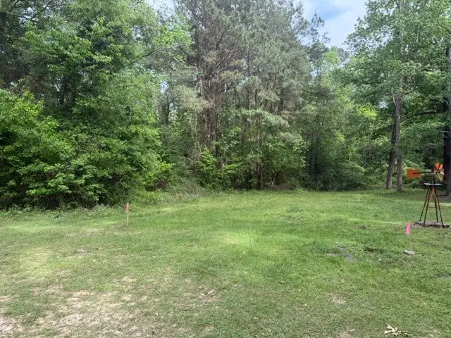 Lot 34 Gov Latham Circle, Point Blank, TX 77364 - #2